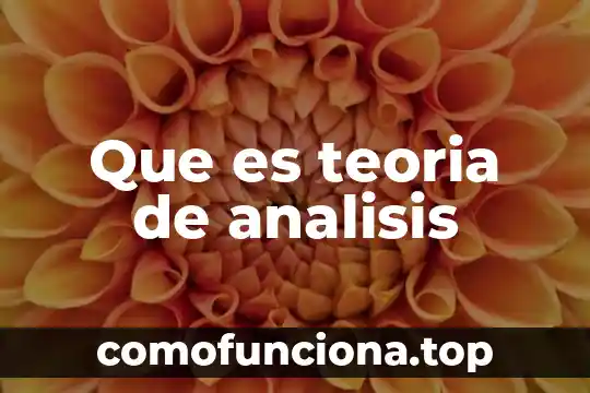 Qué es una teoría paradigmática 5 Que es teoria de analisis