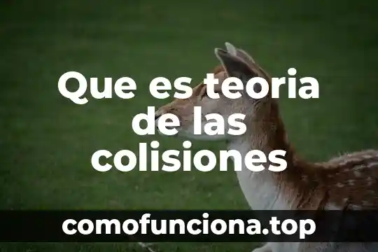 Qué es la globalización ante la teoría 7 Que es teoria de las colisiones