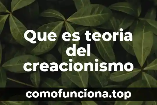 Qué es la teoría de la cantidad 3 Que es teoria del creacionismo