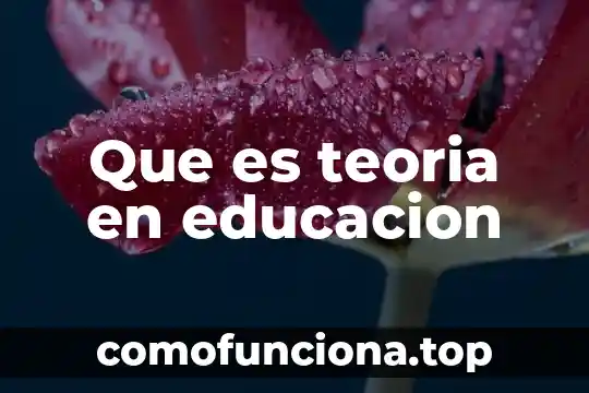 Qué es el código teoría de la comunicación 6 Que es teoria en educacion