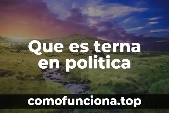 Que es politica del mercado 8 Que es terna en politica