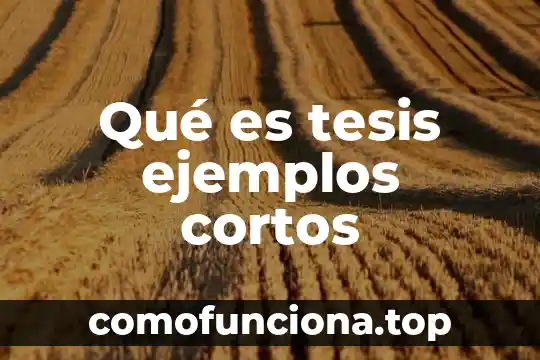 Que es dormidores cortos y largos 4 Qué es tesis ejemplos cortos