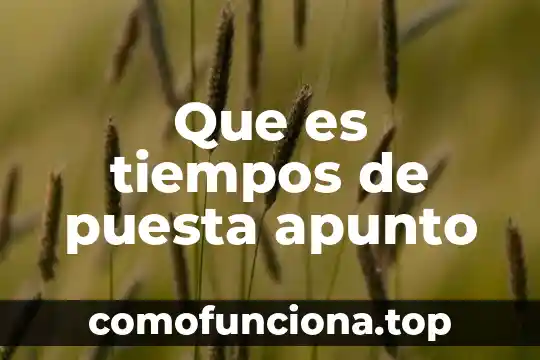 Prefijo griego que es matemáticos 3 Que es tiempos de puesta apunto