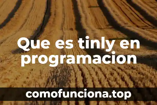 Qué es rur en programación lógica y funcional 8 Que es tinly en programacion