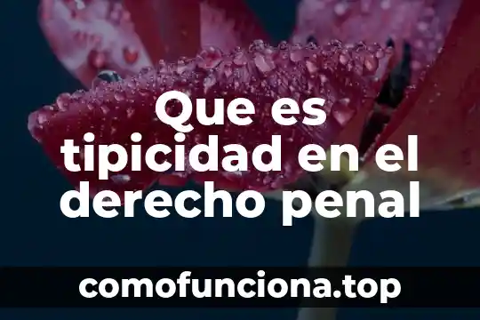 Que es el conocimiento cientifico de derecho 7 Que es tipicidad en el derecho penal