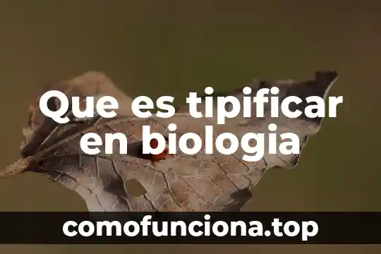 Que es el aneuploide biologia 5 Que es tipificar en biologia