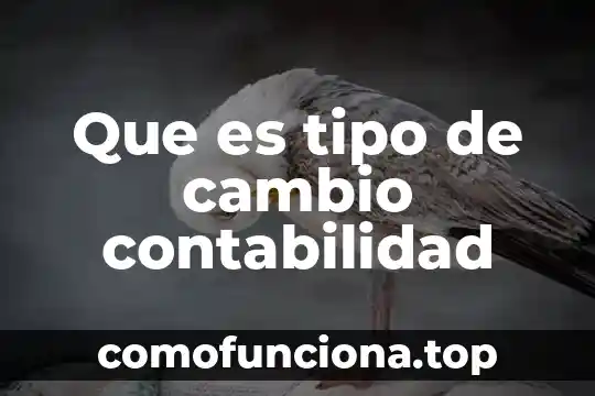 Que es cambio de identidad 4 Que es tipo de cambio contabilidad