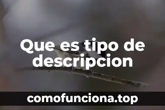 Que es el na2s tipo de compuesto 3 Que es tipo de descripcion