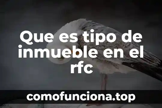 Rfc que es mexico 7 Que es tipo de inmueble en el rfc