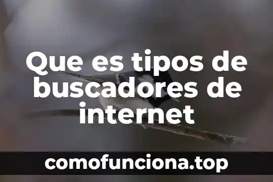 Que es internet y sus servicios basicos 4 Que es tipos de buscadores de internet