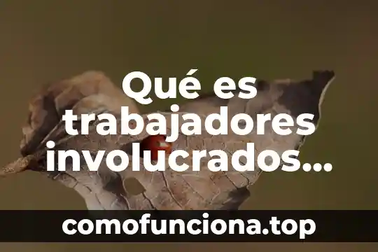 Que es el teatro griego y sus partes 5 Qué es trabajadores involucrados en el área de ingeniería industrial