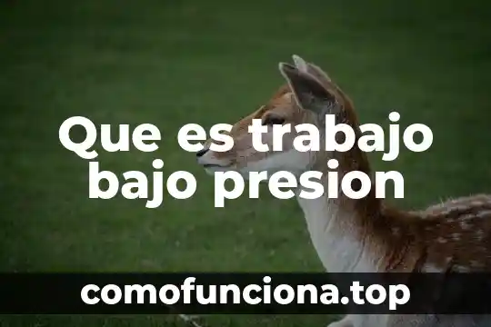 Qué es la hipótesis en un trabajo de grado 5 Que es trabajo bajo presion