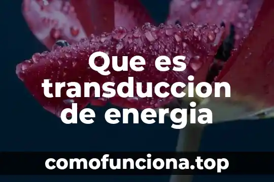 Qué es señal de energía 6 Que es transduccion de energia