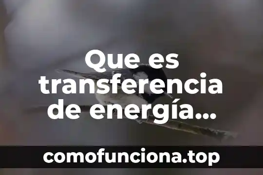 Qué es el ATP y la energía en las células 8 Que es transferencia de energía eléctrica