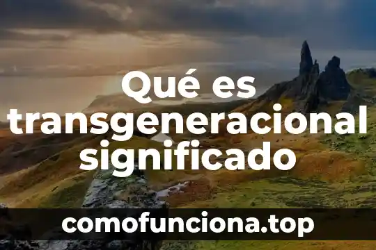 Que es estupido significado 6 Qué es transgeneracional significado