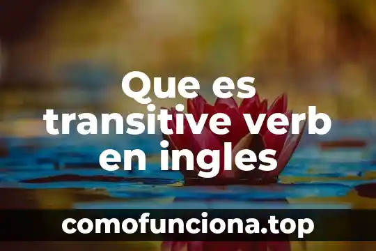 Que es ballet el significado en ingles 3 Que es transitive verb en ingles