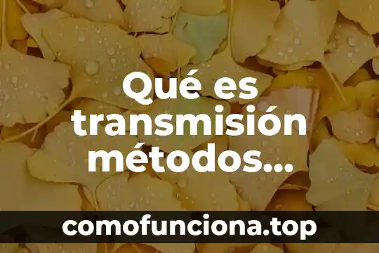 Que es metodos hermeneuticos 3 Qué es transmisión métodos anticonceptivos