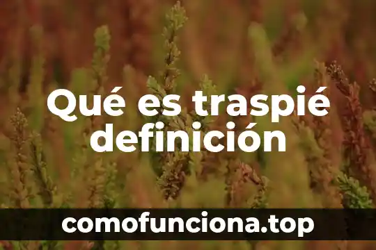 Qué es teporocho definición 4 Qué es traspié definición