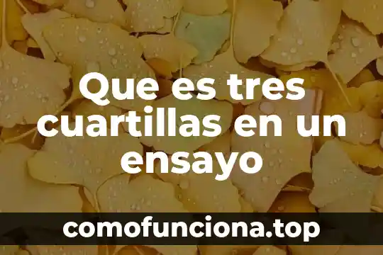 Qué es la rama de la filosofía idealista 7 Que es tres cuartillas en un ensayo