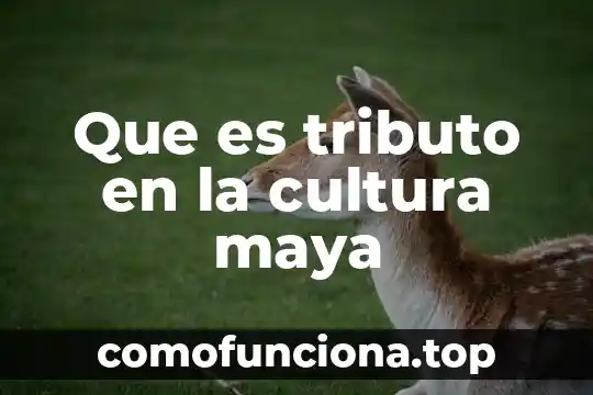 Qué es la cultura en México 3 Que es tributo en la cultura maya