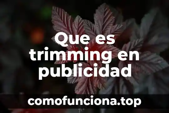 Que es una publicidad comparativa 5 Que es trimming en publicidad