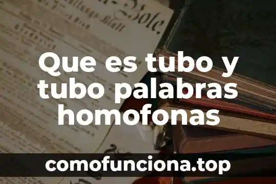 Palabras baúl o comodín que es definición 6 Que es tubo y tubo palabras homofonas