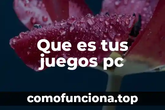 Juegos paradojicos mencionando que es lo que e utiliza 5 Que es tus juegos pc