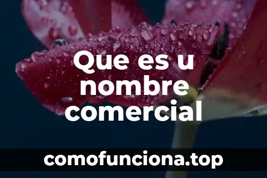 Que es un stand comercial 3 Que es u nombre comercial