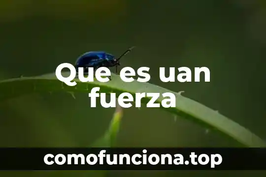Qué es la fuerza gravitacional en los cuerpos teoría 3 Que es uan fuerza