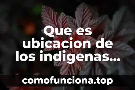 Qué es el movimiento de los objetos ejemplos 7 Que es ubicacion de los indigenas en el mexico actual