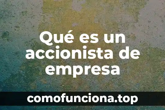 Que es concepto de una empresa 5 Qué es un accionista de empresa