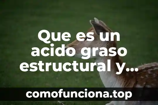 Que es acido en la orina 5 Que es un acido graso estructural y funcional