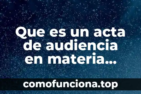 Que es el principio de oficialidad en materia penal 6 Que es un acta de audiencia en materia administrativa