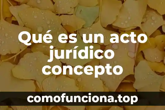Que es el derecho administrativo en mexico diccionario juridico 3 Qué es un acto jurídico concepto