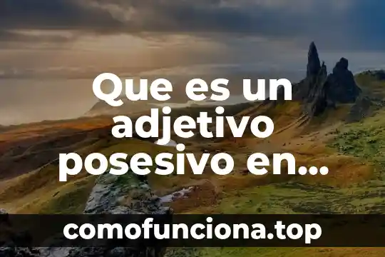 Qué es el artículo, pronombre, adjetivo, nombre o sustantivo 3 Que es un adjetivo posesivo en ingles ejemplos