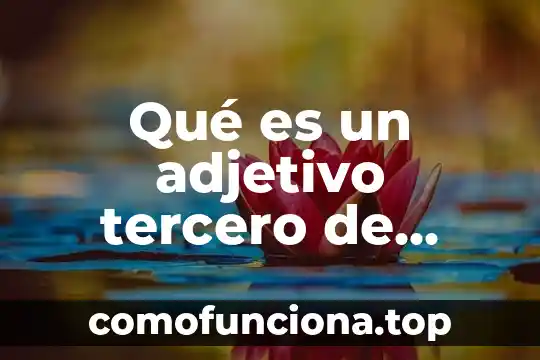 Qué es el artículo, pronombre, adjetivo, nombre o sustantivo 8 Qué es un adjetivo tercero de primaria