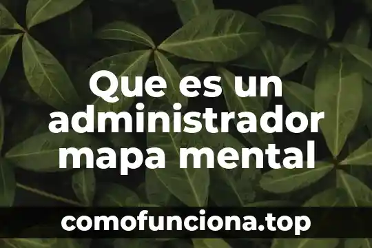 Qué es un proceso mental concepto 6 Que es un administrador mapa mental