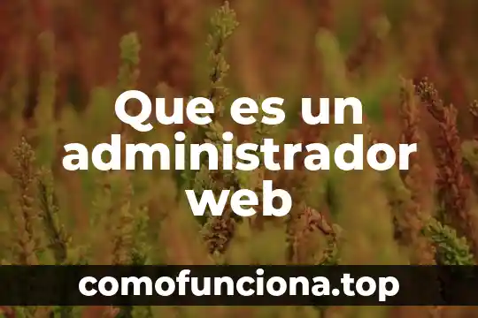 Que es nombre de la web 8 Que es un administrador web