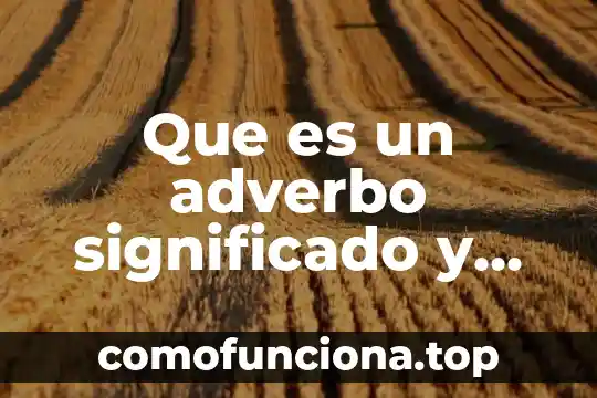 Ejemplo de reporte y que es 7 Que es un adverbo significado y ejemplo
