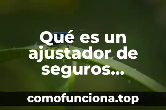 Que es el concepto asistencia social vehicular 8 Qué es un ajustador de seguros vehicular
