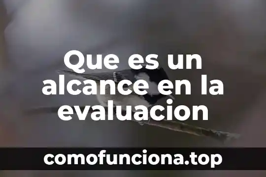 Que es la evaluacion significado 3 Que es un alcance en la evaluacion