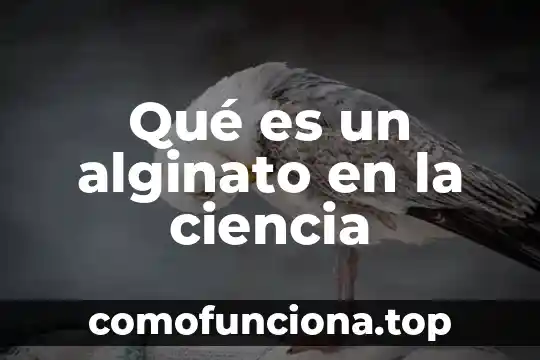 Que es la ciencia de la mente y la sociedad 4 Qué es un alginato en la ciencia