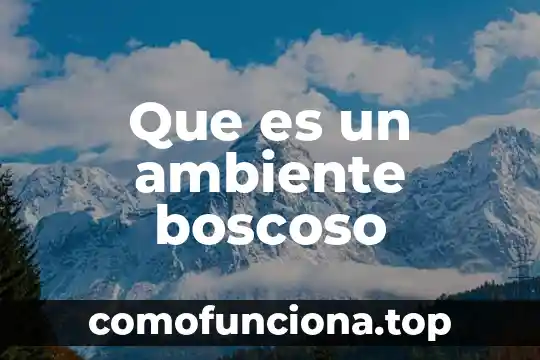 Que es un ambiente geologico 6 Que es un ambiente boscoso