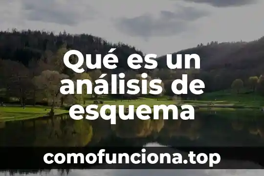 Qué es un número y una p 6 Qué es un análisis de esquema