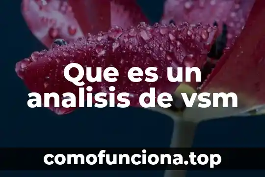 Que es un analisis a conciencia 3 Que es un analisis de vsm