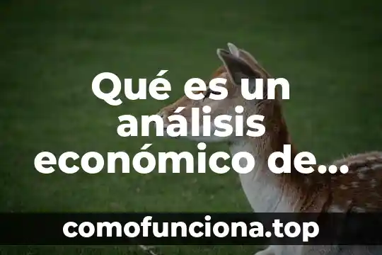 Que es un ente economico 3 Qué es un análisis económico de la iglesia IAFCJ