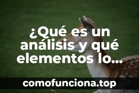 Que es incoherente significado de diccionario 8 ¿Qué es un análisis y qué elementos lo conforman?