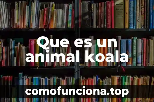 Definición que es un animal 8 Que es un animal koala