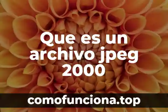 Que es un archivo ofimatico 4 Que es un archivo jpeg 2000