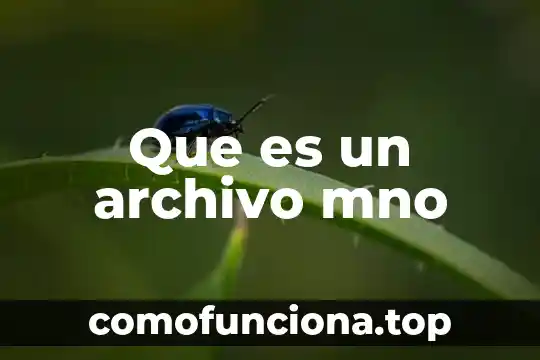 Que es un archivo ofimatico 5 Que es un archivo mno